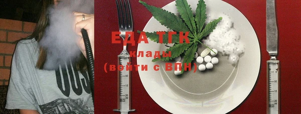 индика Сосновка
