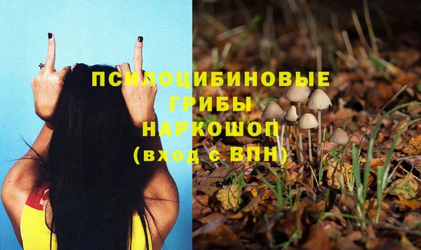 индика Сосновка