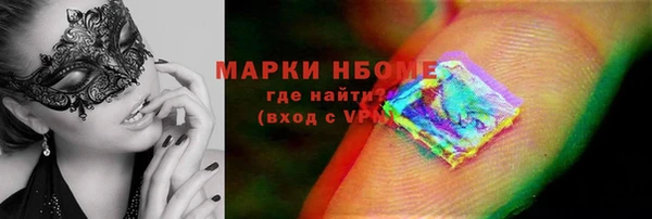 индика Сосновка