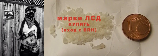 индика Сосновка