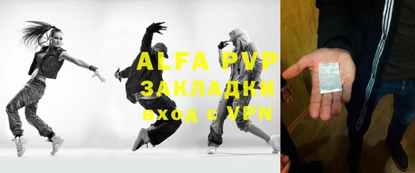 индика Сосновка