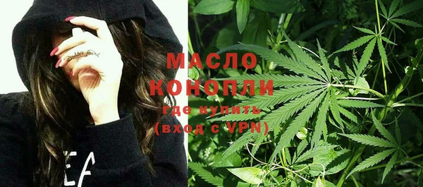 индика Сосновка