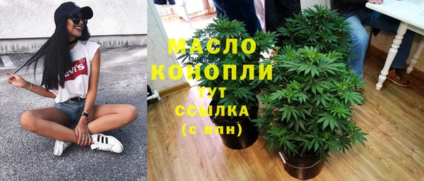 индика Сосновка