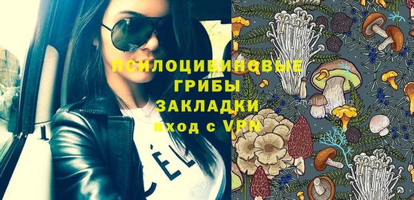 бошки Струнино